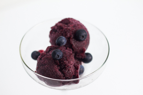 BlueberrySorbet (2 of 12)