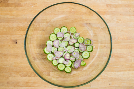Cucumber, shallots and ice cubes for pickling