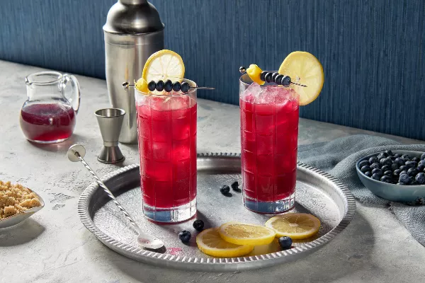 Two highball glasses of blueberry whisky fizz on ice garnished with lemon wheels and skewers of blueberries, shown on a silver platter with a cocktail shaker, jigger, stir stick, a pitcher of simple syrup, and bowls of brown sugar and blueberries.
