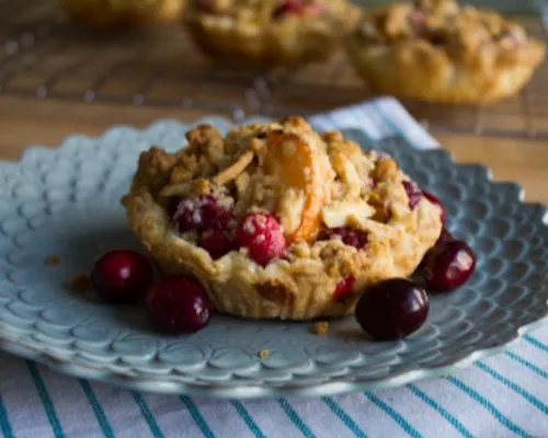 Mini nectarine and cranberry pies