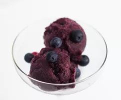 Blueberry Sorbet